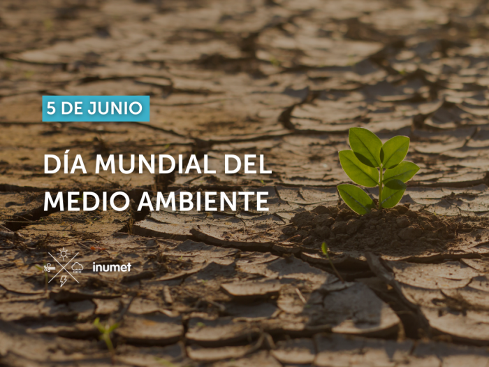 dia mundial del medio ambiente